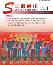 亚洲精品久久久久无码精品