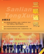 亚洲精品久久久久无码精品