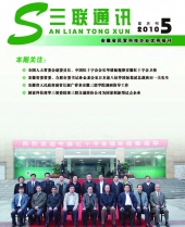 亚洲精品久久久久无码精品