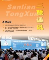 亚洲精品久久久久无码精品