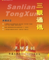 亚洲精品久久久久无码精品