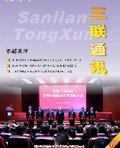 亚洲精品久久久久无码精品